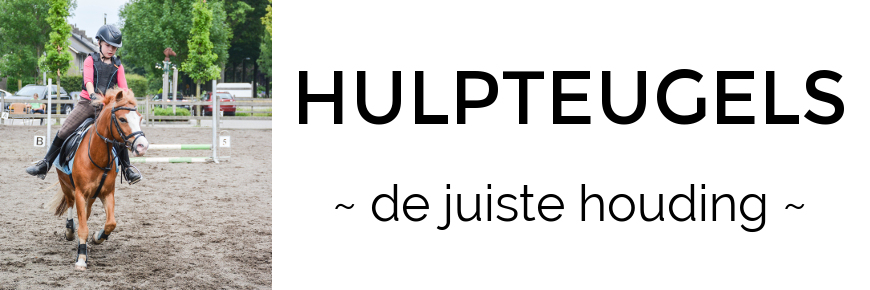 Hulpteugels