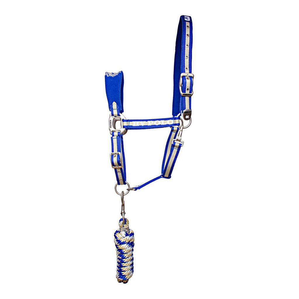 Halsterset Favouritas HVpolo Royal blue