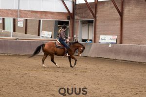 quus-experience-2016-8w7a8701