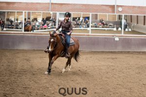 quus-experience-2016-8w7a8704