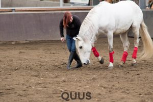 quus-experience-2016-8w7a8815