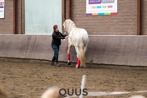 quus-experience-2016-8w7a8886