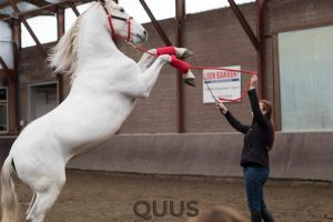 quus-experience-2016-8w7a8891