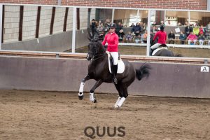 quus-experience-2016-8w7a9363