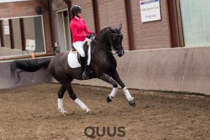 quus-experience-2016-8w7a9374