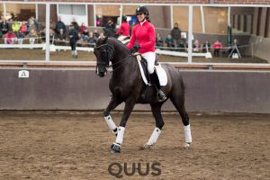 quus-experience-2016-8w7a9384