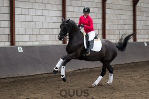 quus-experience-2016-8w7a9394