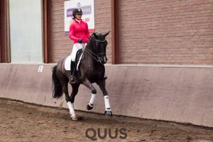 quus-experience-2016-8w7a9395