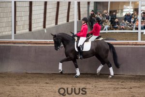 quus-experience-2016-8w7a9427