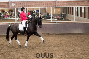 quus-experience-2016-8w7a9443