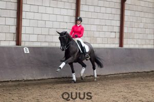 quus-experience-2016-8w7a9461