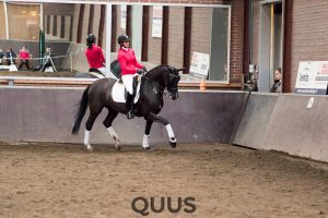 quus-experience-2016-8w7a9504