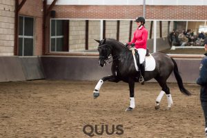 quus-experience-2016-8w7a9513