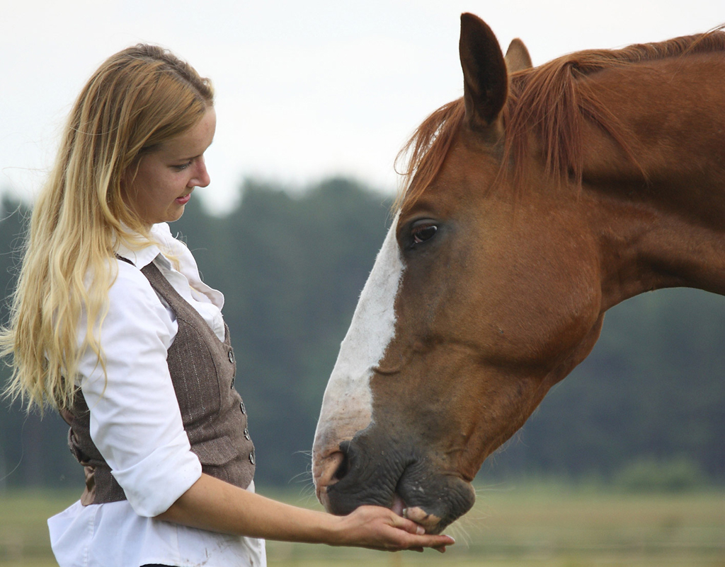 weinig tijd om paard te rijden