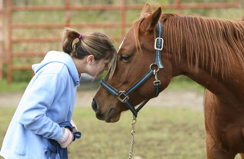 sterke band met je paard